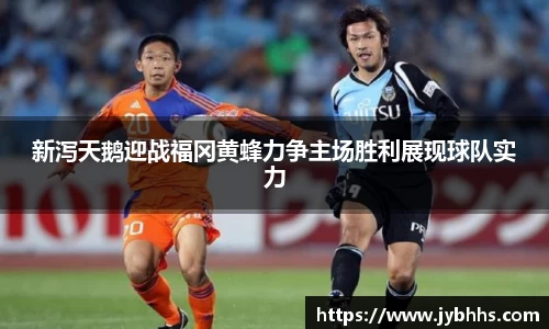 XK星空官网